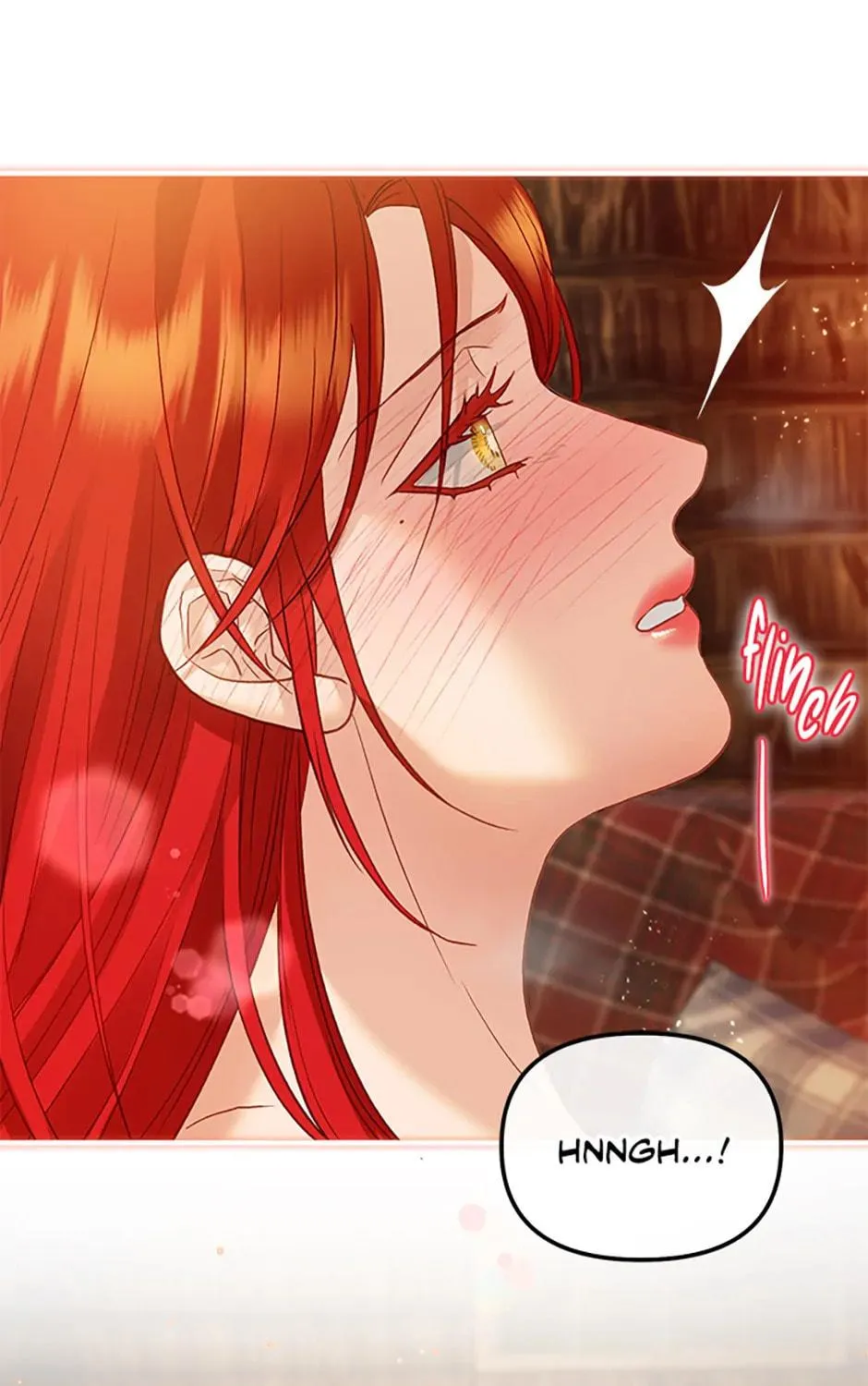 The Glamorous Life of the Fake Mistress Chapter 94 page 17 - 