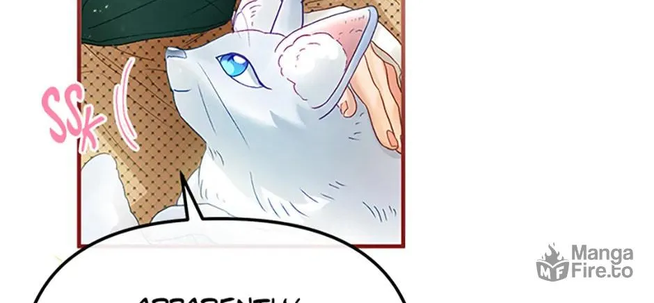 The Glamorous Life of the Fake Mistress Chapter 97 page 24 - 