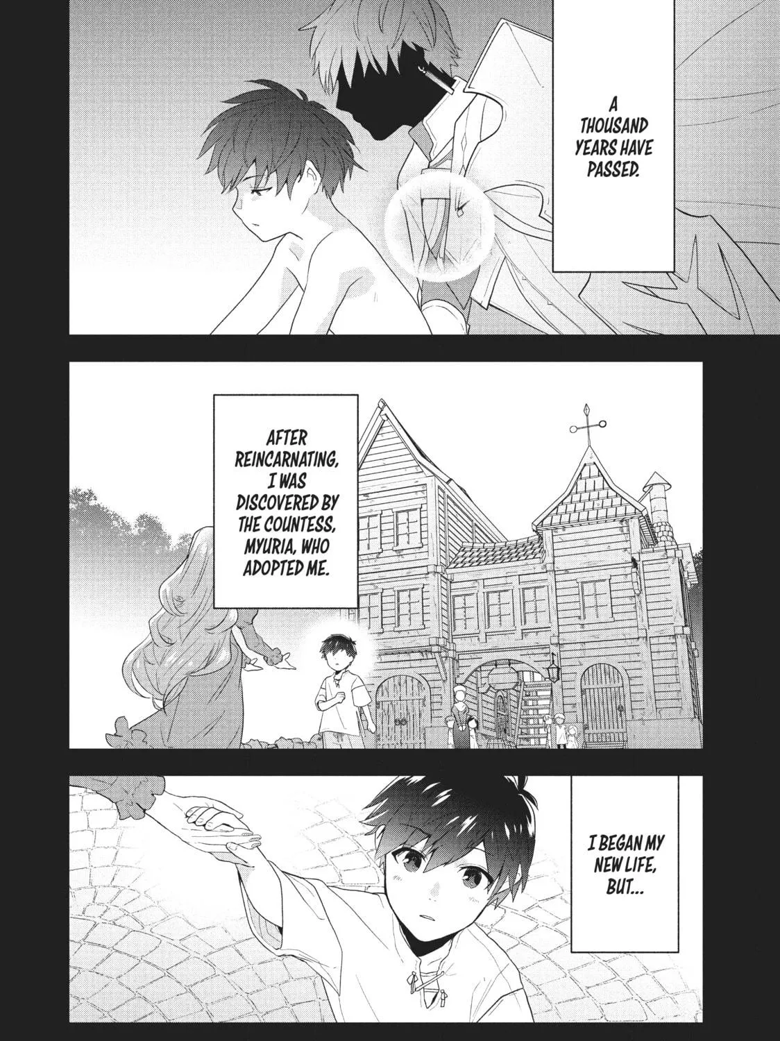 The God-Tier Guardian and the Love of Six Princesses Chapter 1 page 41 - 