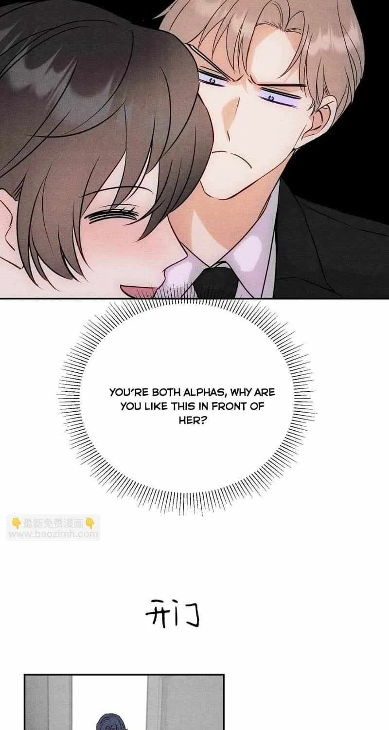 The golden goose dressed as Alpha boss Chapter 13 page 23 - 