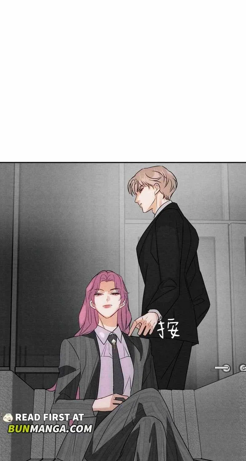 The golden goose dressed as Alpha boss Chapter 13 page 25 - 