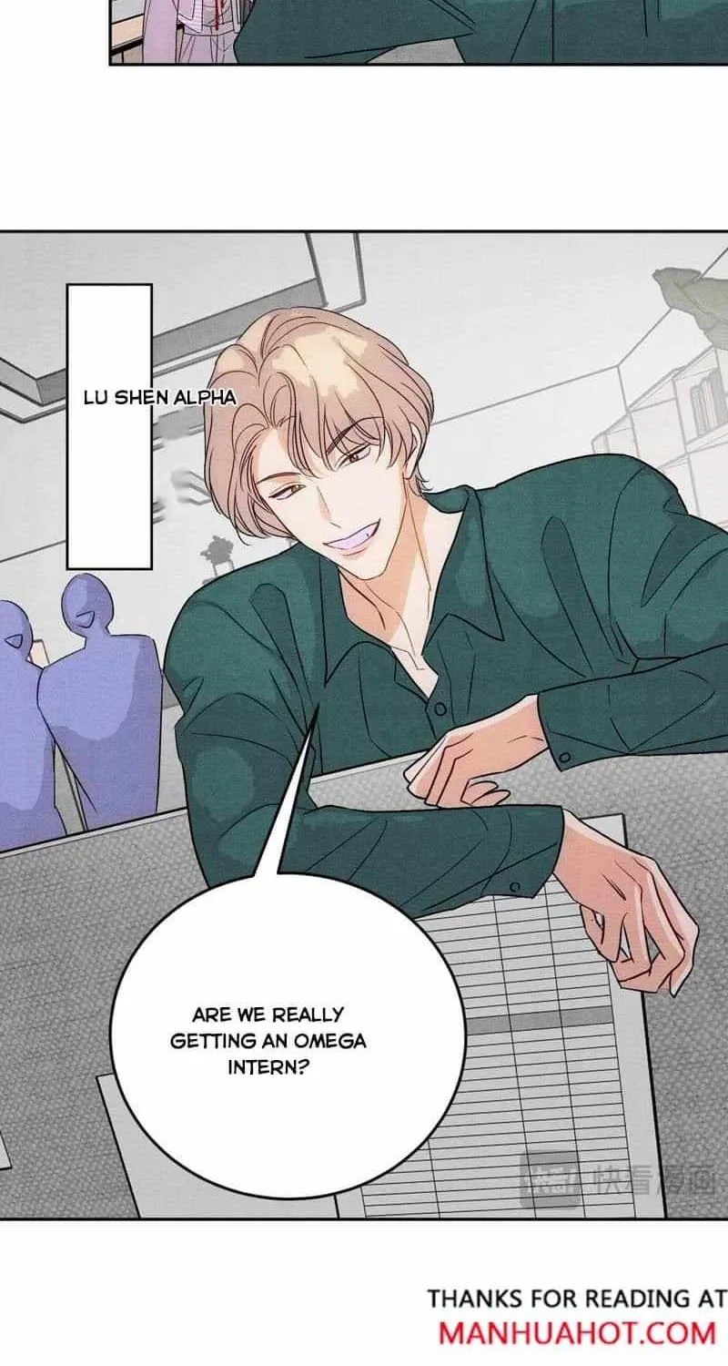 The golden goose dressed as Alpha boss Chapter 13 page 32 - 