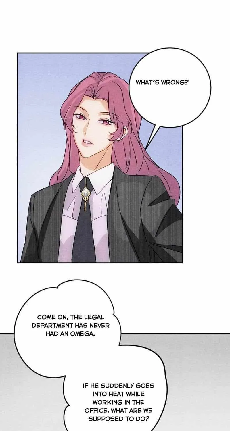 The golden goose dressed as Alpha boss Chapter 13 page 33 - 