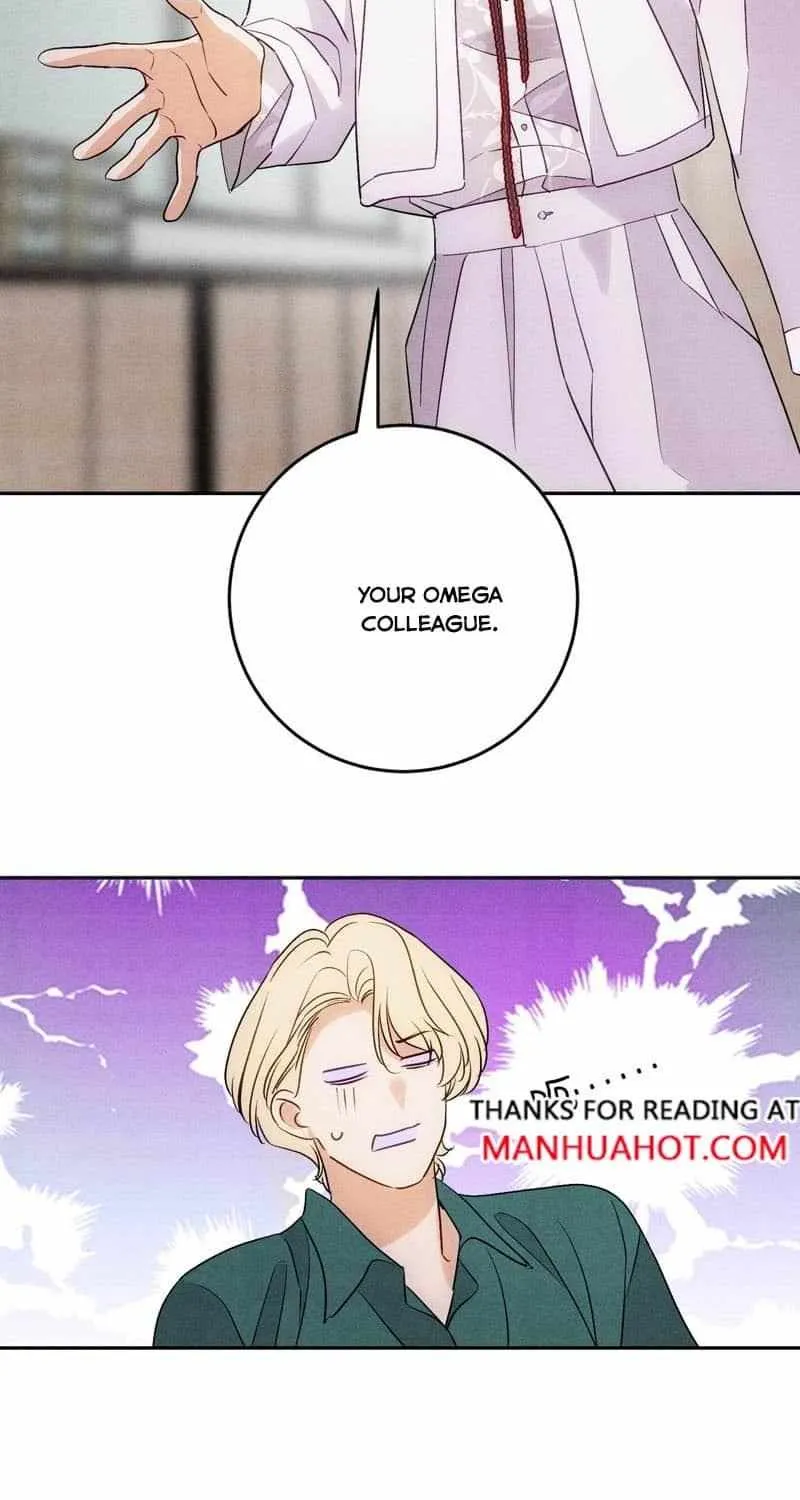 The golden goose dressed as Alpha boss Chapter 13 page 40 - 