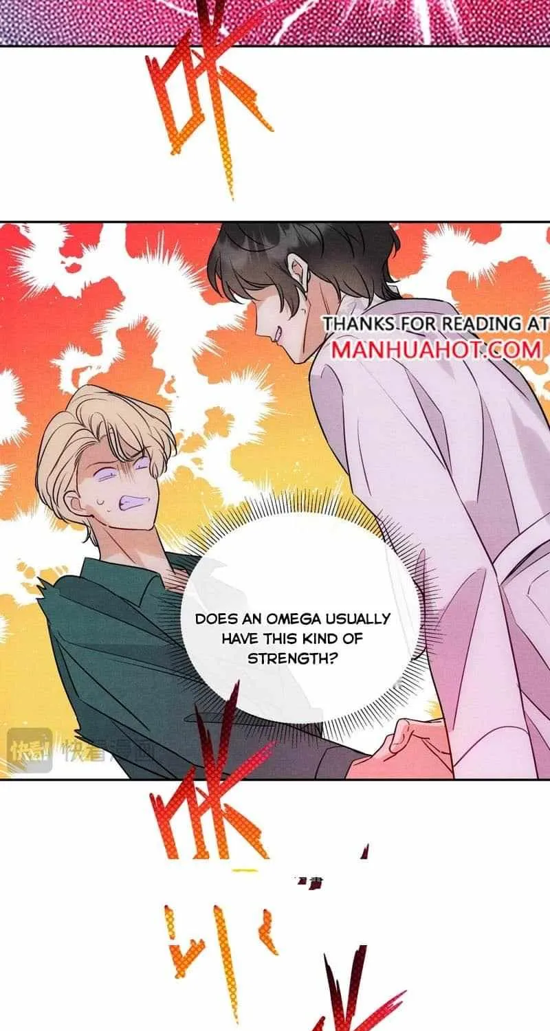 The golden goose dressed as Alpha boss Chapter 13 page 43 - 