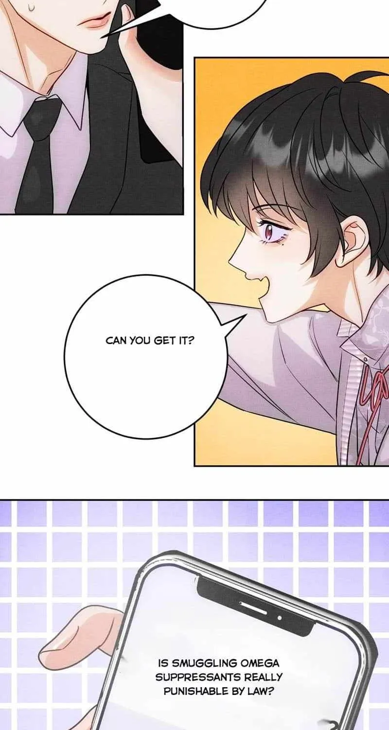 The golden goose dressed as Alpha boss Chapter 14 page 12 - 
