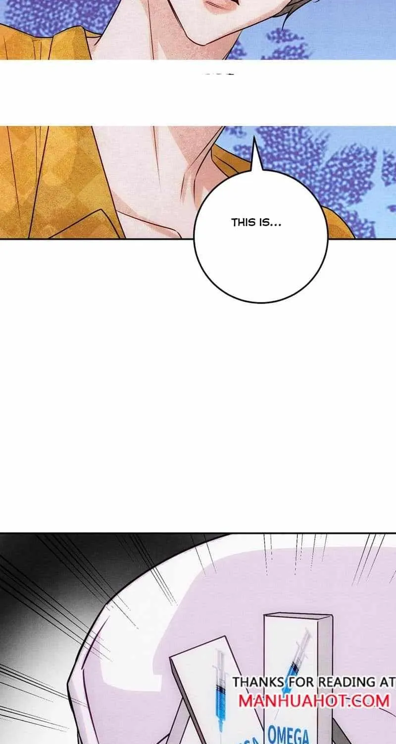 The golden goose dressed as Alpha boss Chapter 15 page 45 - 