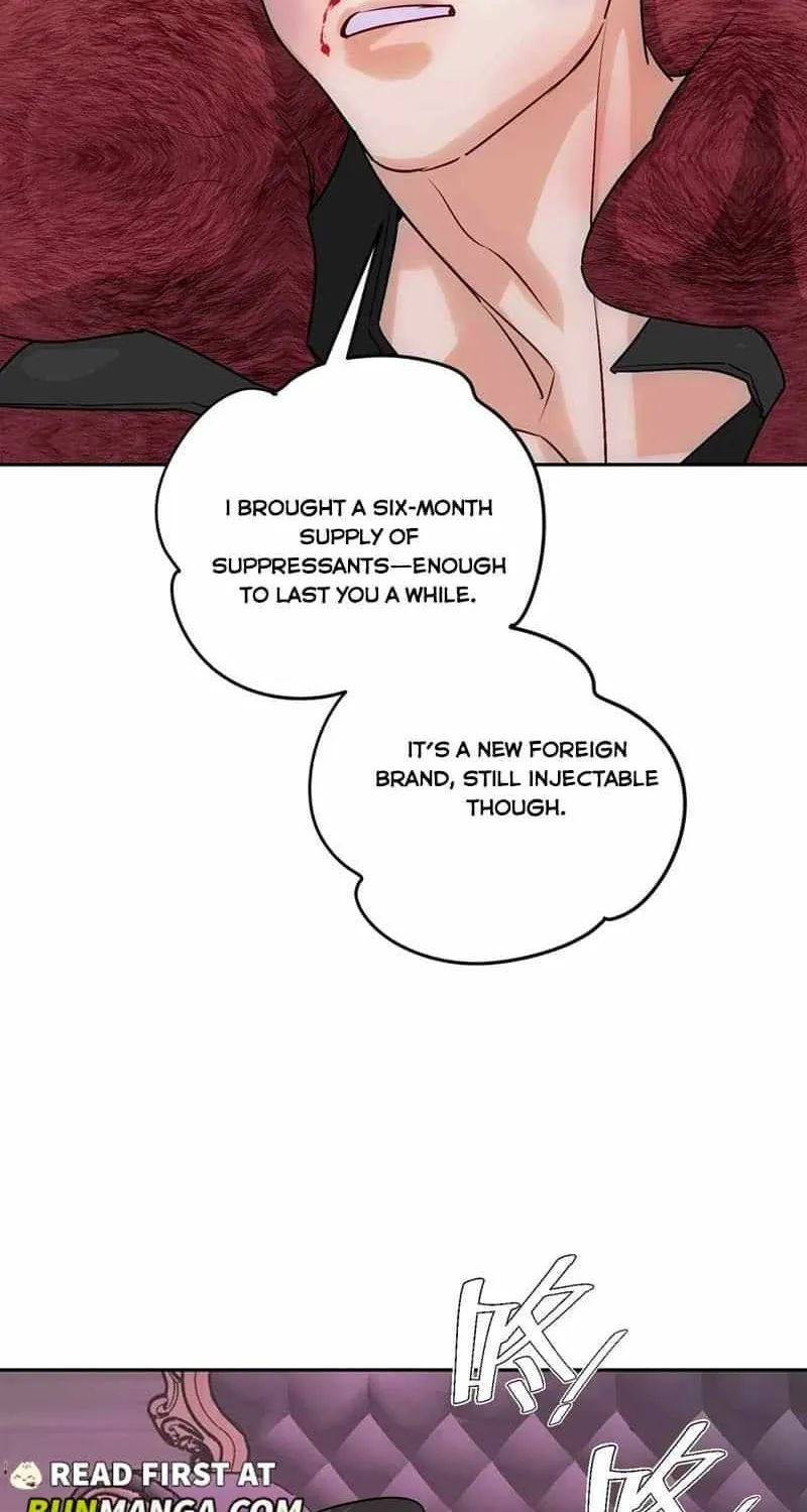 The golden goose dressed as Alpha boss Chapter 16 page 38 - 
