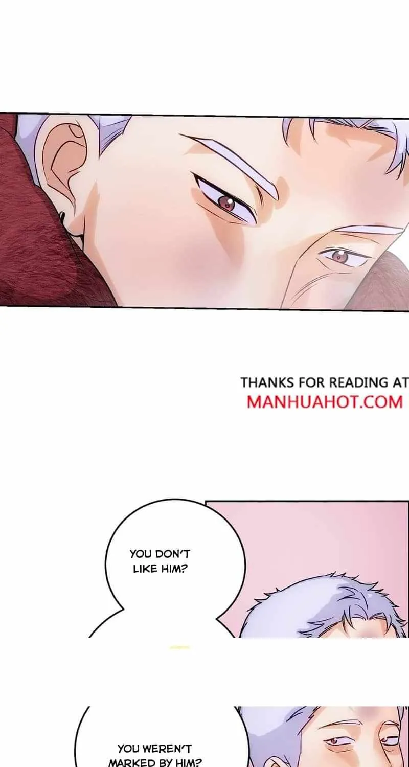 The golden goose dressed as Alpha boss Chapter 16 page 42 - 