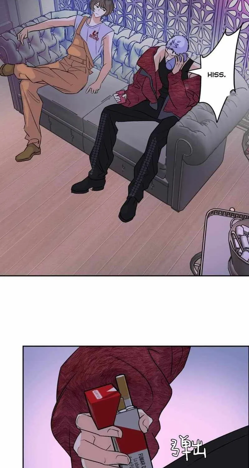 The golden goose dressed as Alpha boss Chapter 17 page 2 - 