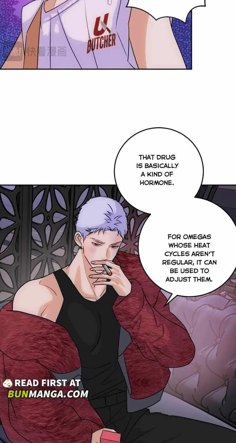 The golden goose dressed as Alpha boss Chapter 17 page 11 - 