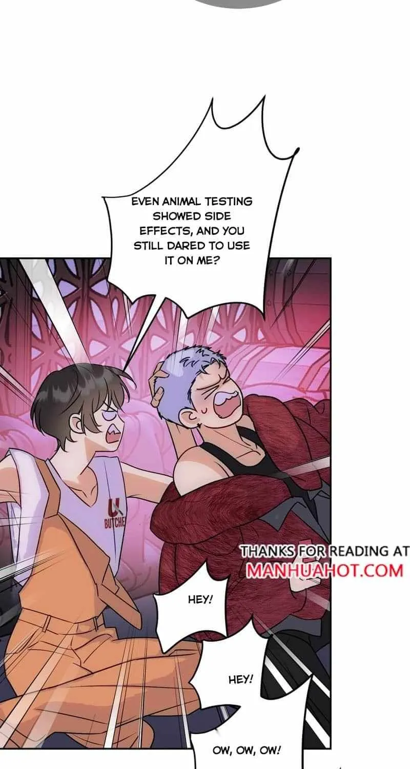 The golden goose dressed as Alpha boss Chapter 17 page 14 - 