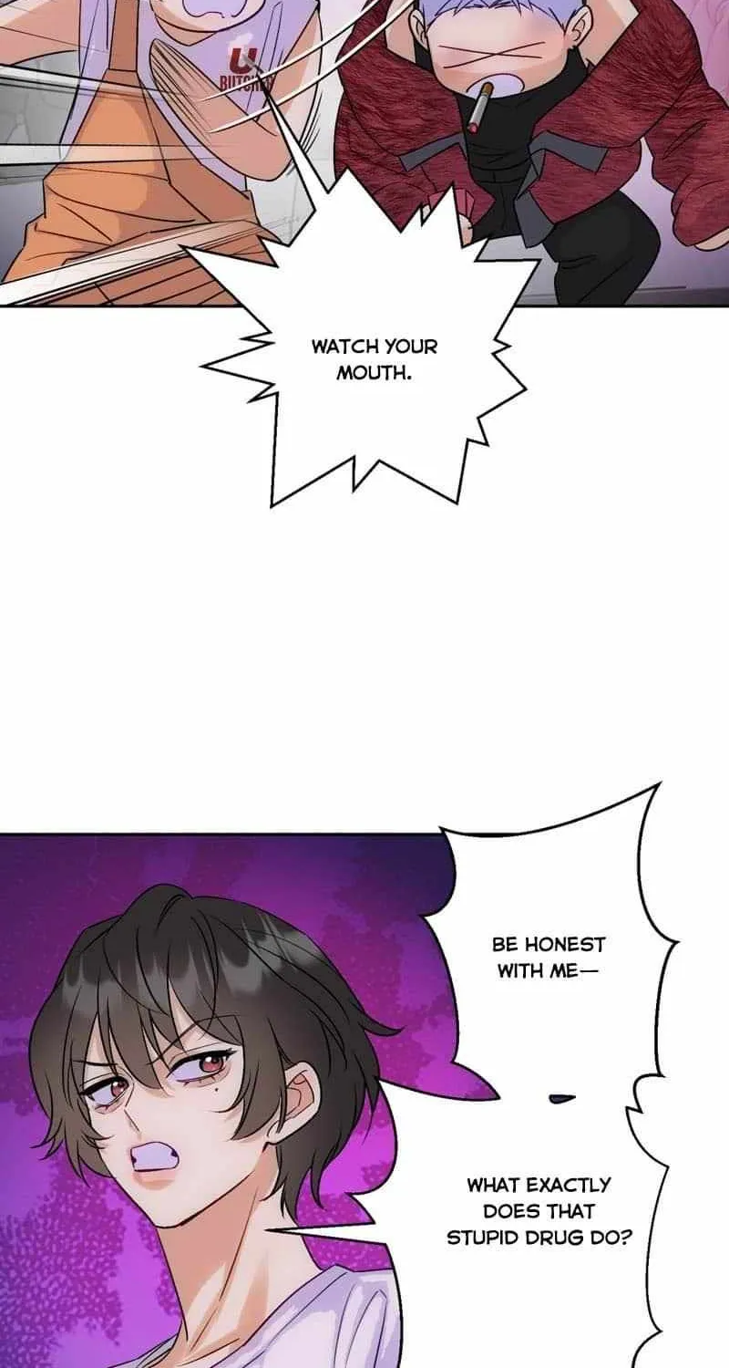 The golden goose dressed as Alpha boss Chapter 17 page 10 - 