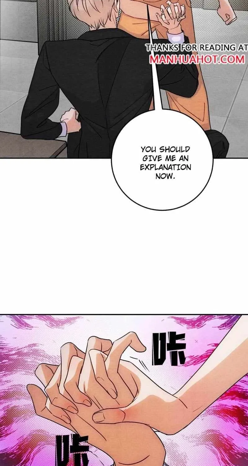 The golden goose dressed as Alpha boss Chapter 18 page 2 - 