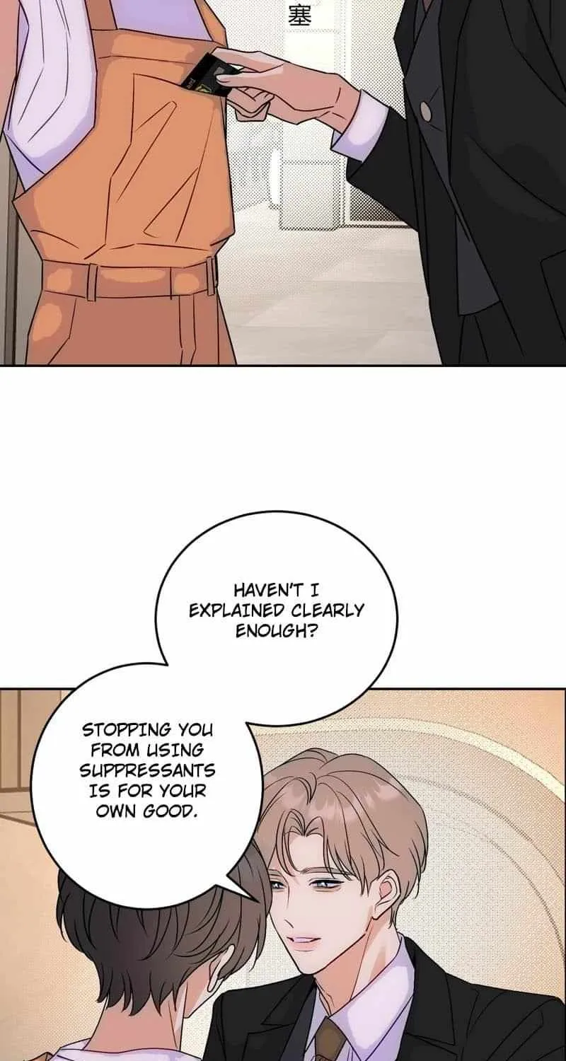 The golden goose dressed as Alpha boss Chapter 18 page 11 - 