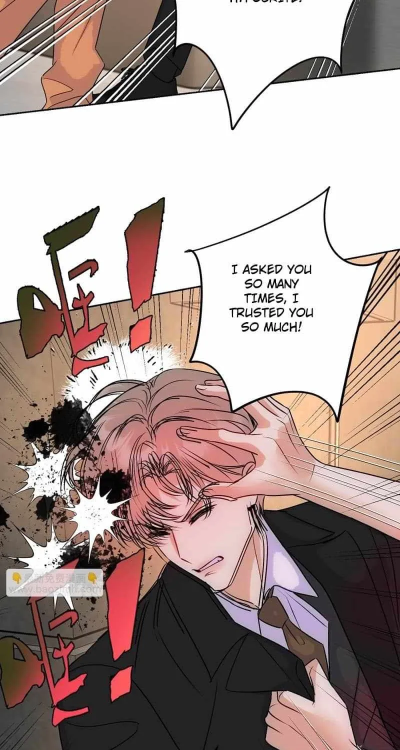 The golden goose dressed as Alpha boss Chapter 18 page 17 - 