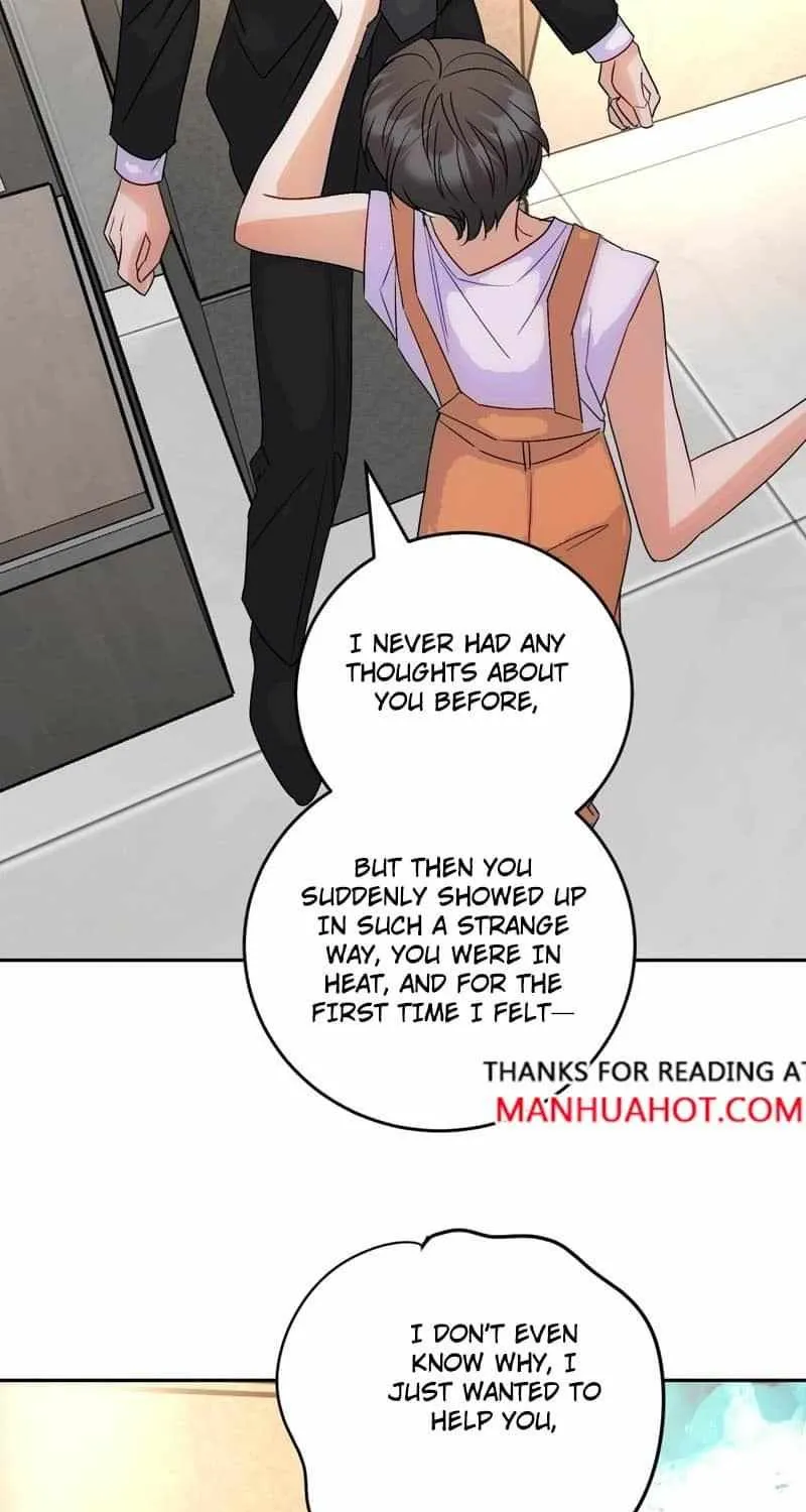 The golden goose dressed as Alpha boss Chapter 18 page 28 - 