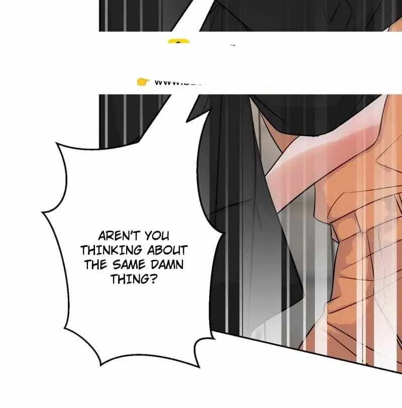 The golden goose dressed as Alpha boss Chapter 18 page 41 - 