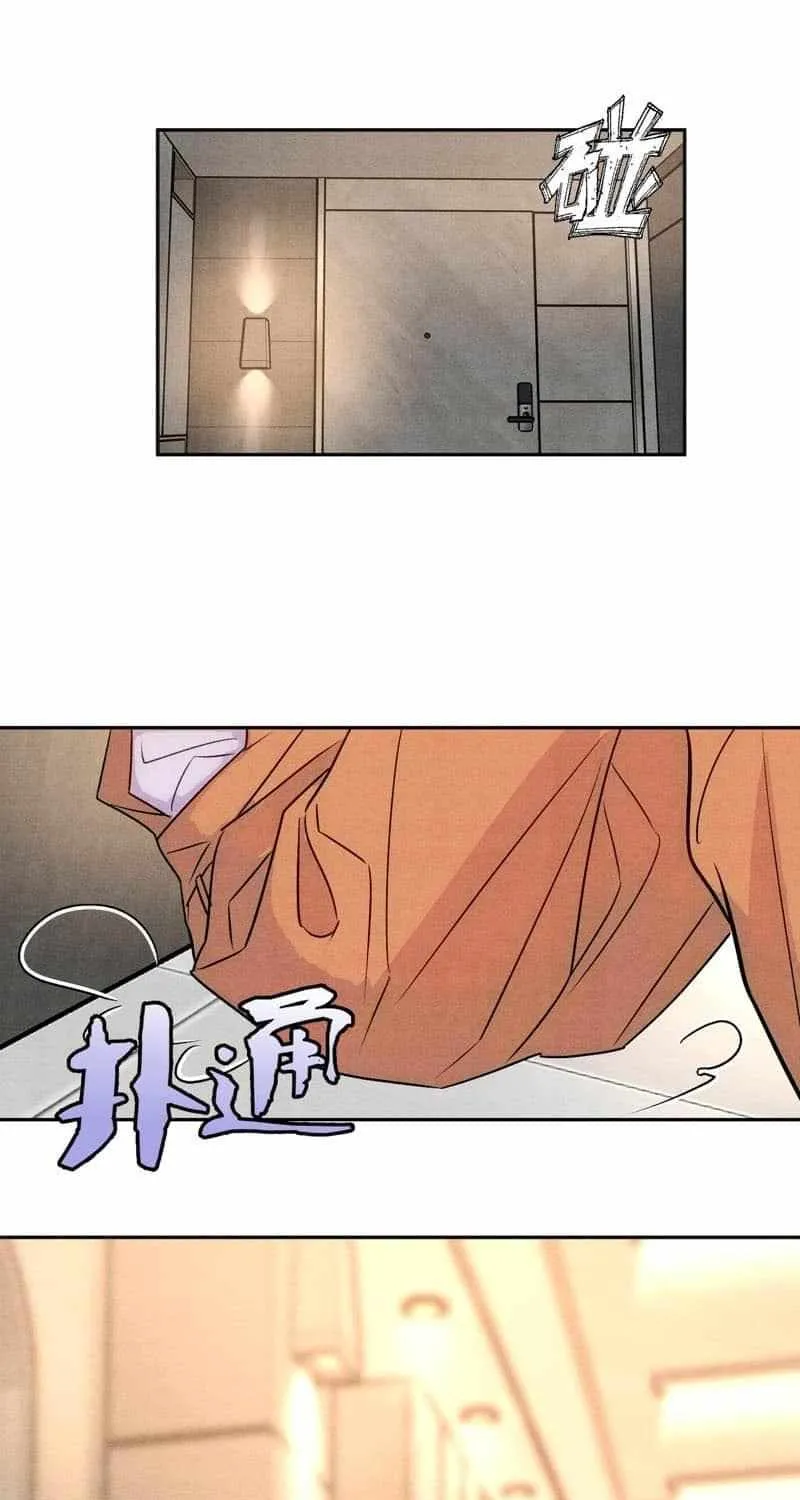 The golden goose dressed as Alpha boss Chapter 18 page 53 - 