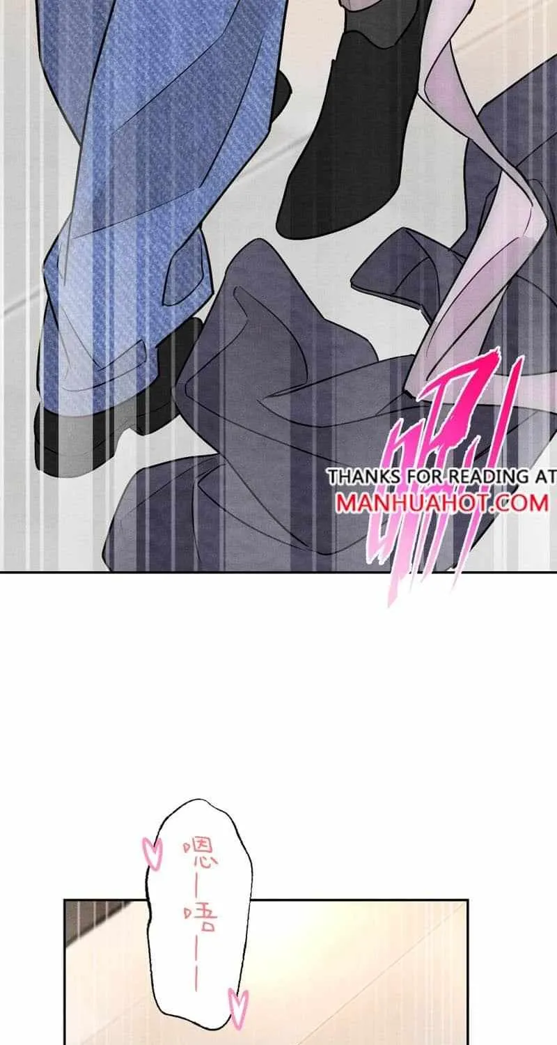 The golden goose dressed as Alpha boss Chapter 20 page 7 - 