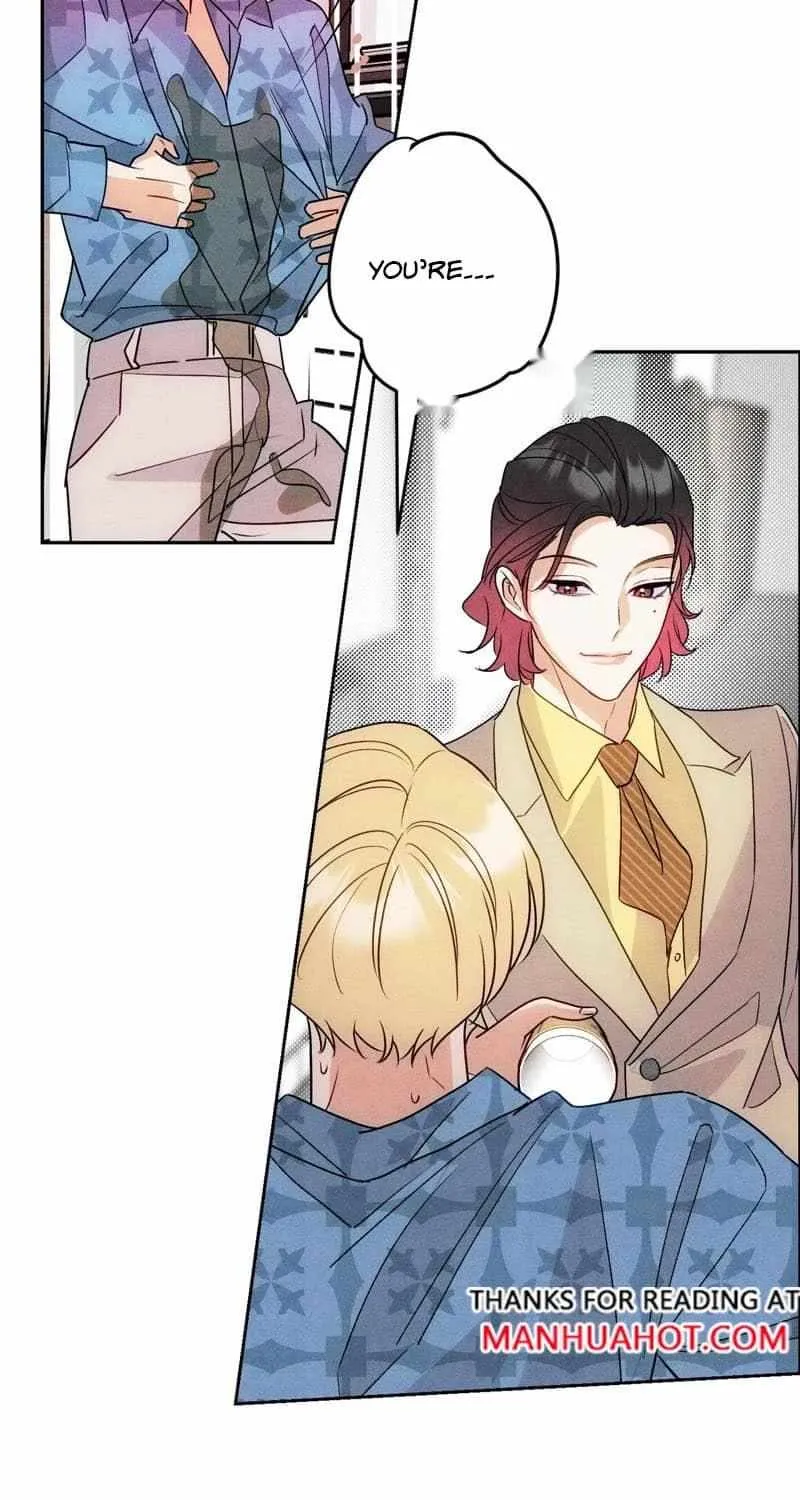 The golden goose dressed as Alpha boss Chapter 21 page 28 - 