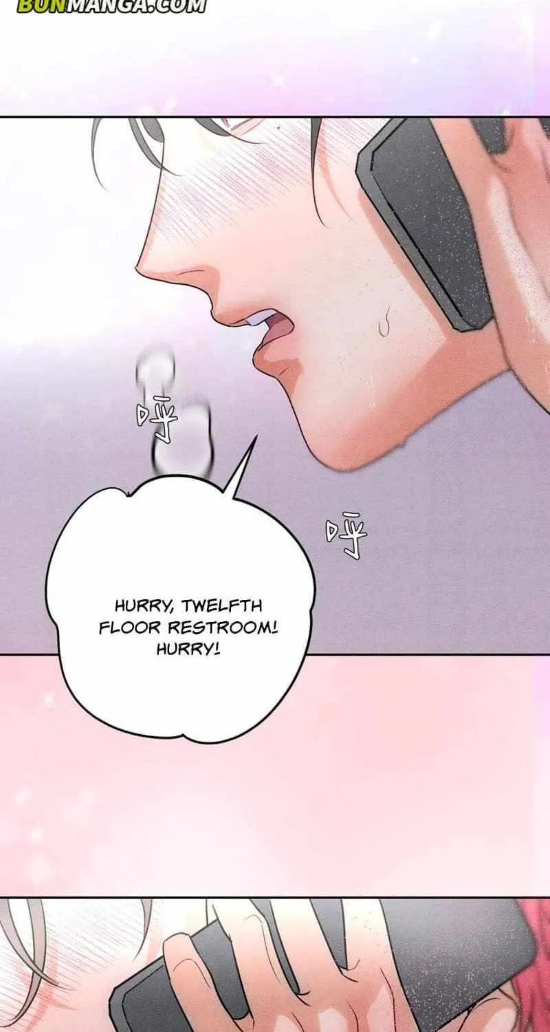 The golden goose dressed as Alpha boss Chapter 22 page 17 - 