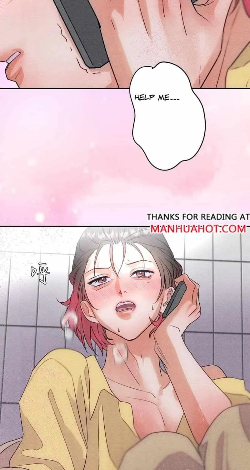 The golden goose dressed as Alpha boss Chapter 22 page 18 - 