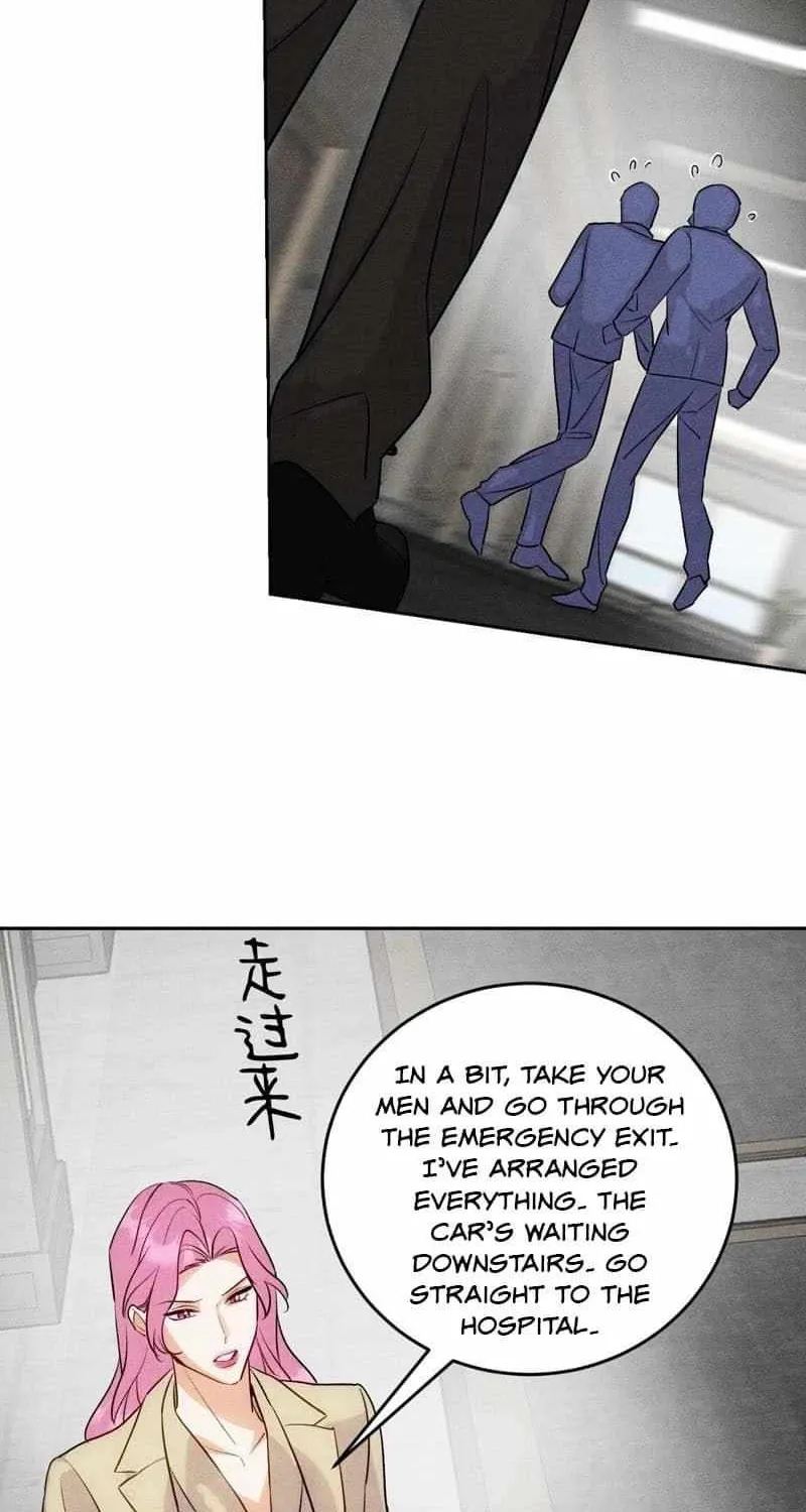 The golden goose dressed as Alpha boss Chapter 22 page 26 - 