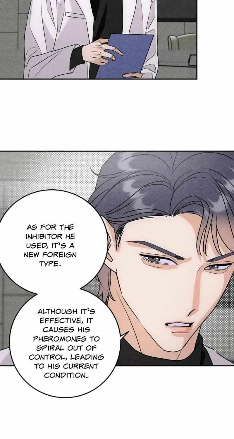 The golden goose dressed as Alpha boss Chapter 23 page 11 - 