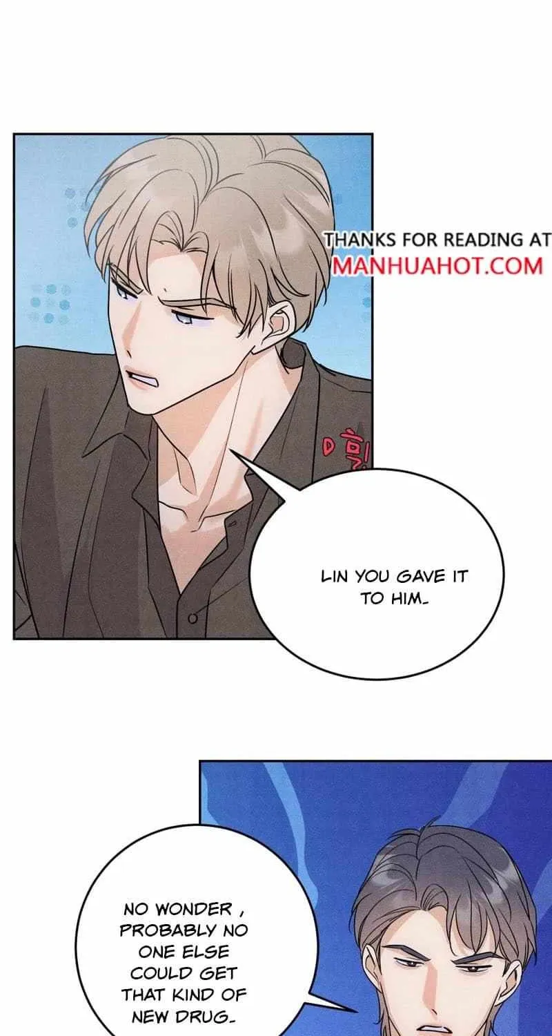 The golden goose dressed as Alpha boss Chapter 23 page 12 - 