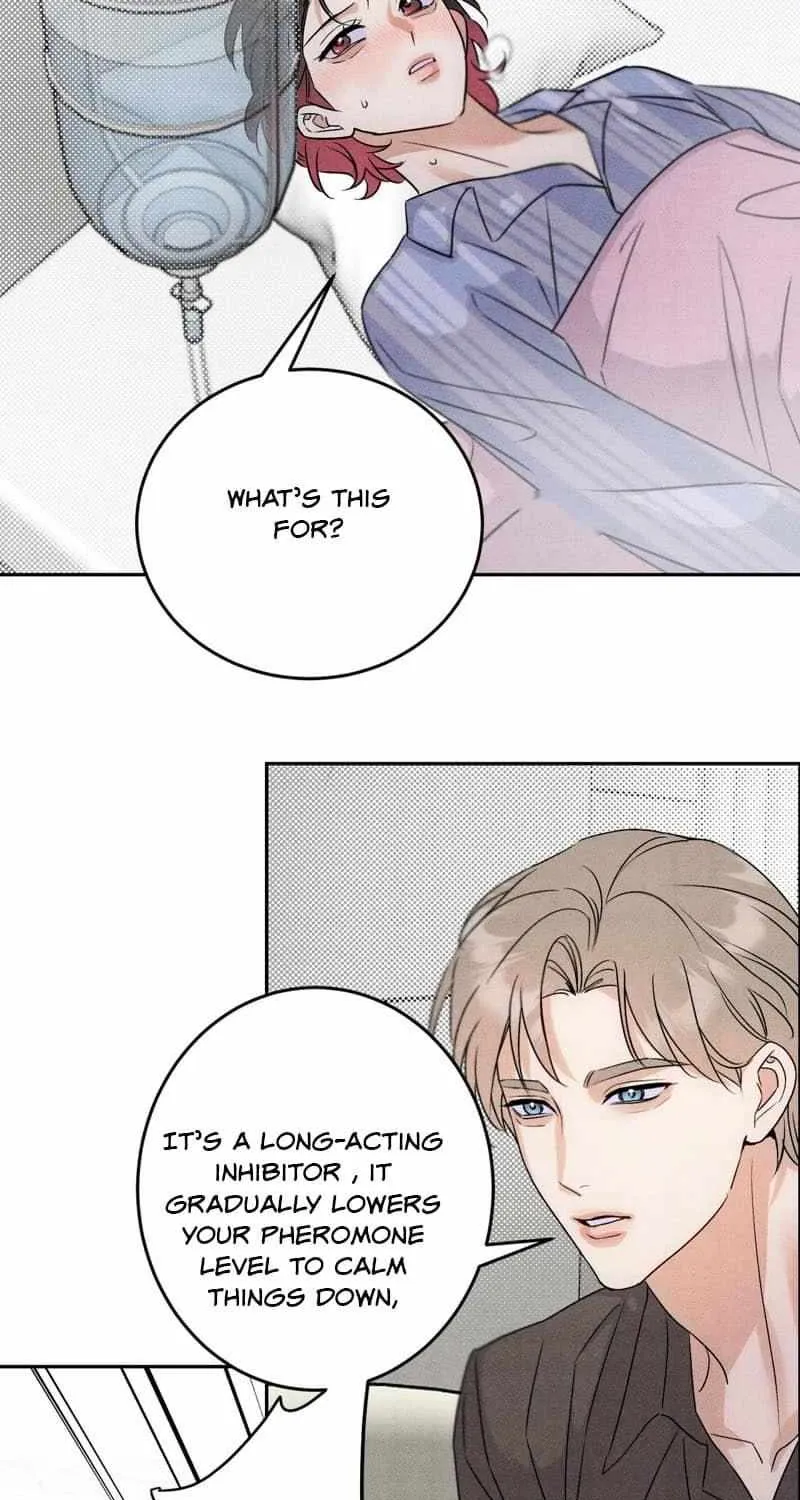 The golden goose dressed as Alpha boss Chapter 23 page 23 - 