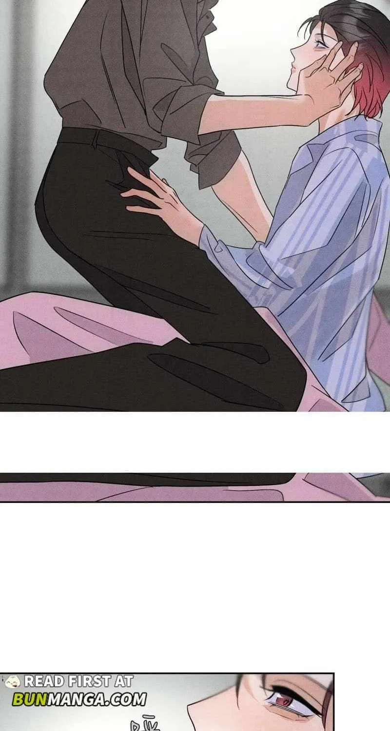 The golden goose dressed as Alpha boss Chapter 23 page 38 - 