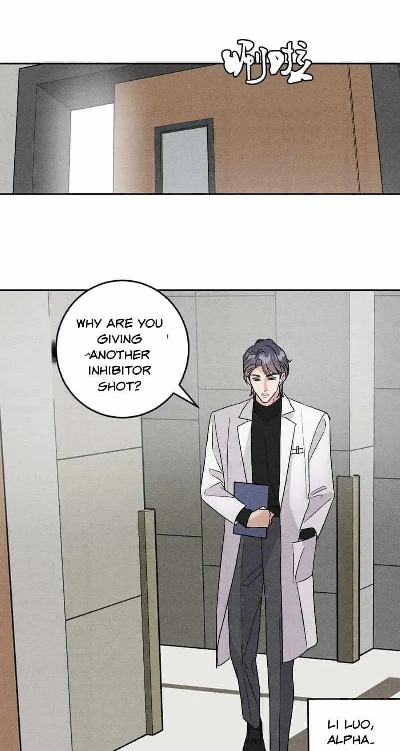 The golden goose dressed as Alpha boss Chapter 23 page 5 - 