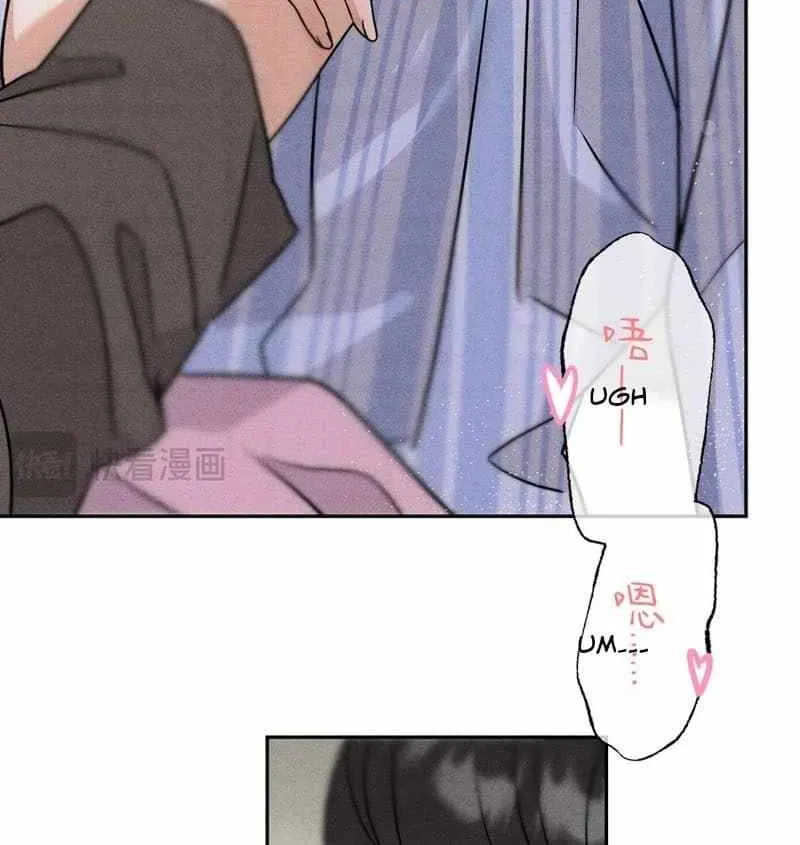 The golden goose dressed as Alpha boss Chapter 23 page 41 - 