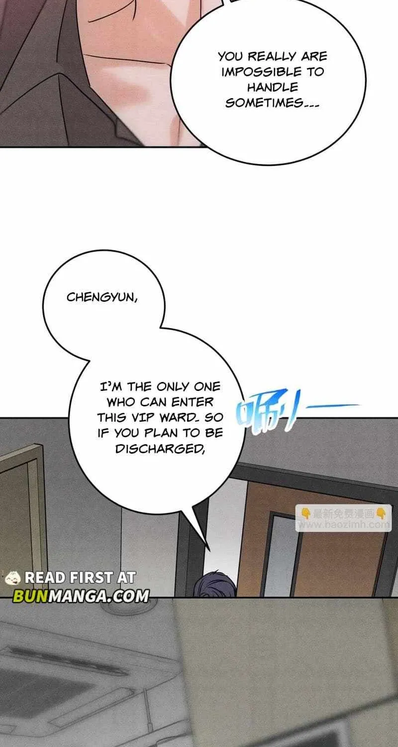 The golden goose dressed as Alpha boss Chapter 23 page 43 - 