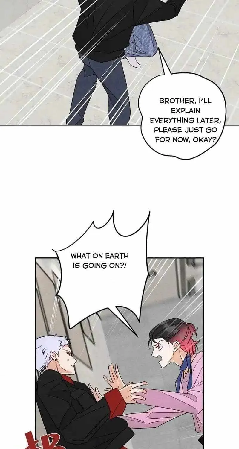 The golden goose dressed as Alpha boss Chapter 24 page 39 - 
