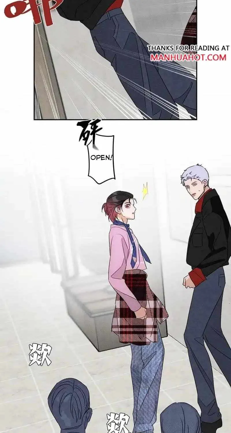 The golden goose dressed as Alpha boss Chapter 24 page 40 - 