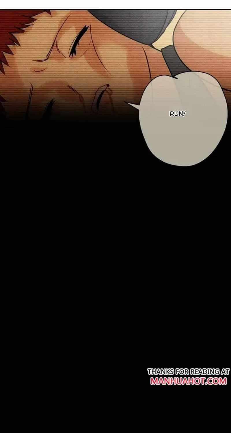 The golden goose dressed as Alpha boss Chapter 25 page 41 - 