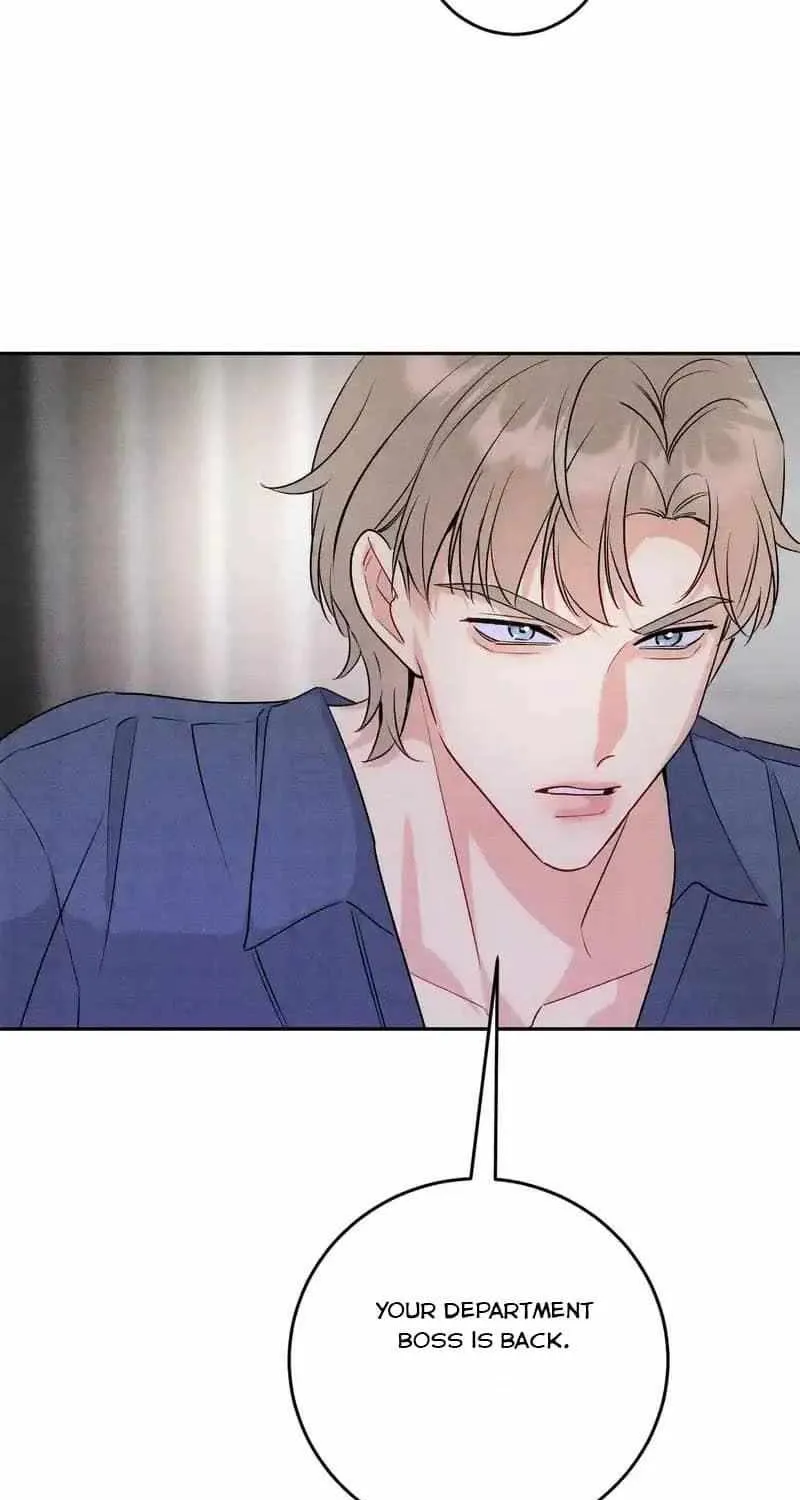 The golden goose dressed as Alpha boss Chapter 27 page 25 - 