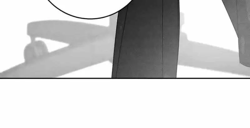 The golden goose dressed as Alpha boss Chapter 27 page 29 - 