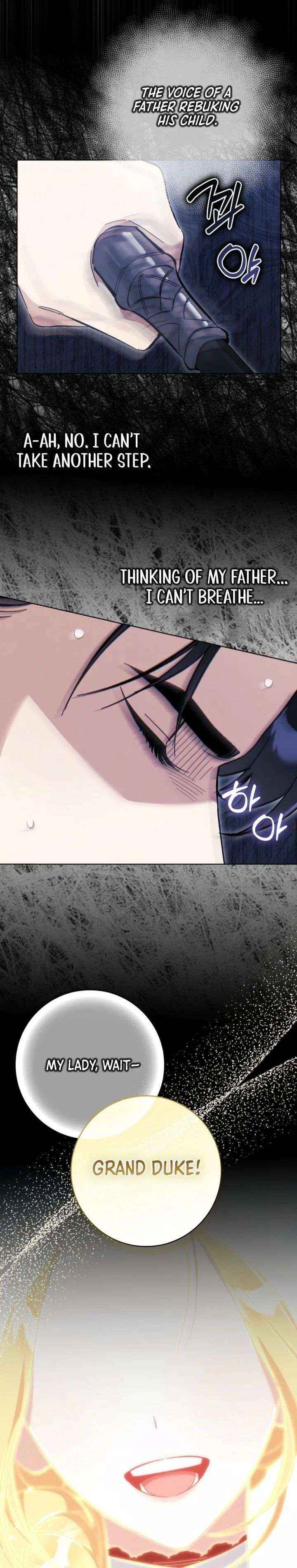 The Grand Duke Has Awakened in a Strange Place Chapter 8 page 27 - 