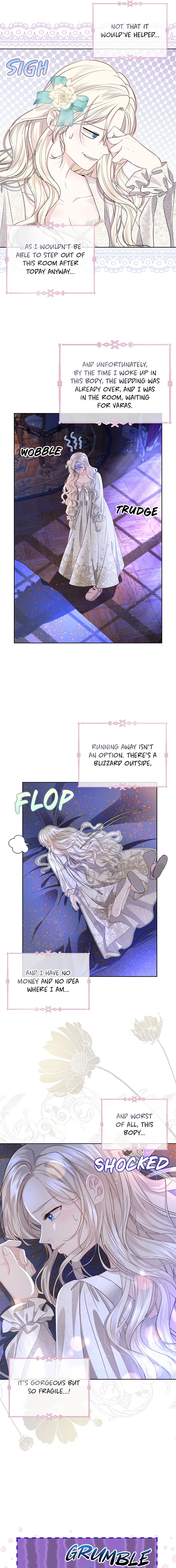 The Grand Duke of the North Chapter 1 page 9 - 