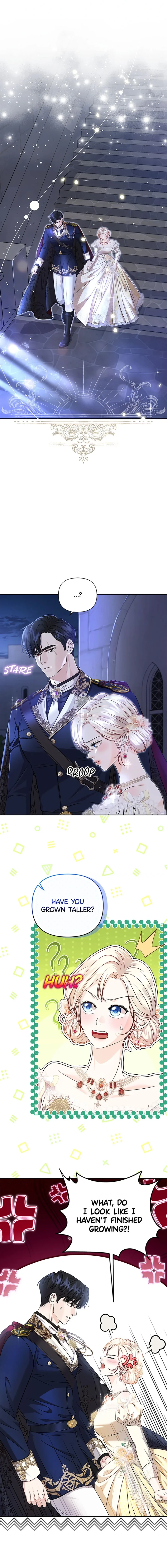 The Grand Duke of the North Chapter 28 page 9 - 