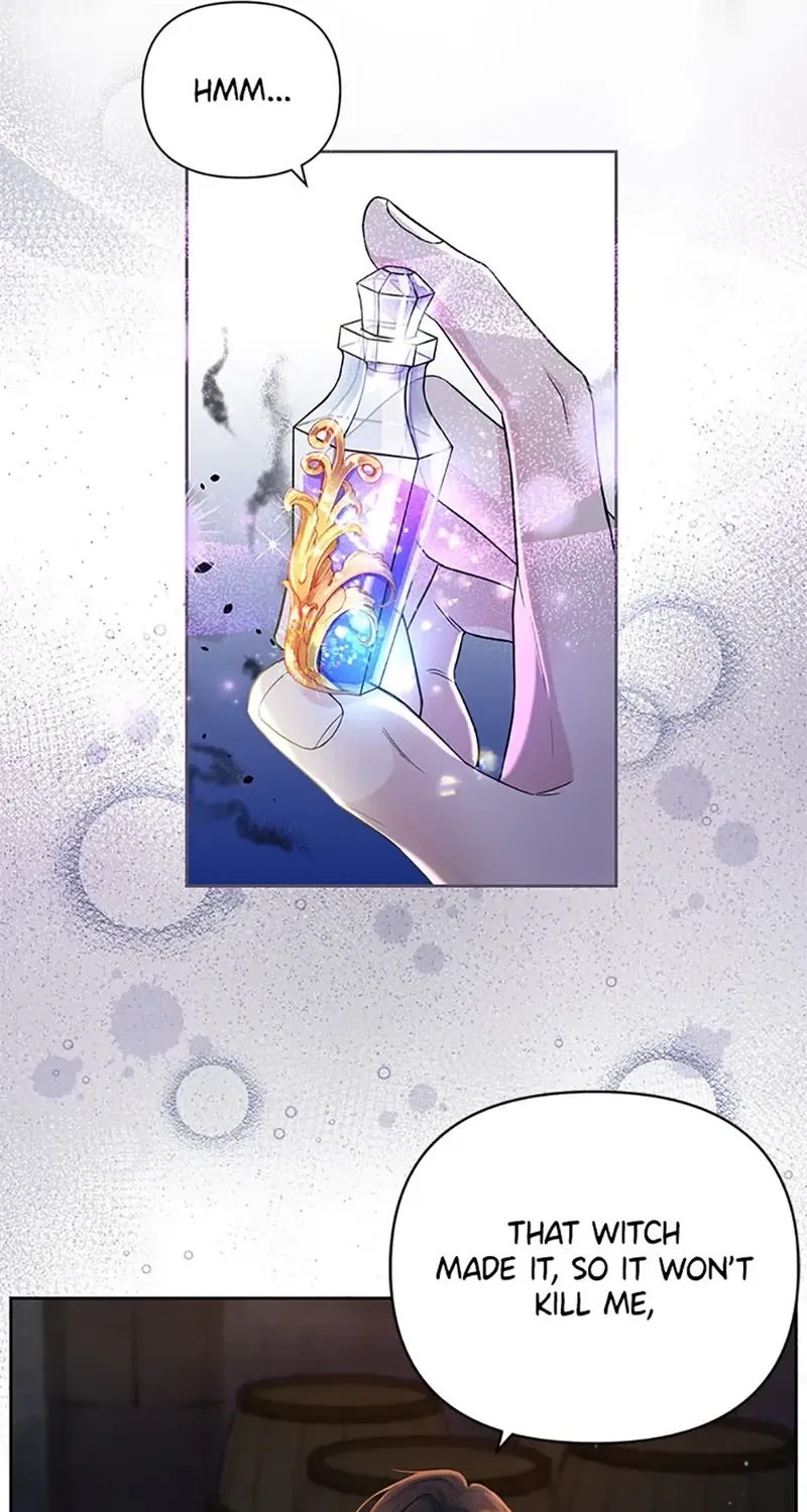 The Grand Duke of the North Chapter 37 page 47 - 