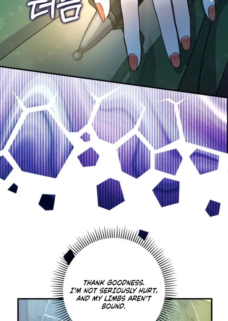 The Grand Duke of the North Chapter 73 page 25 - 