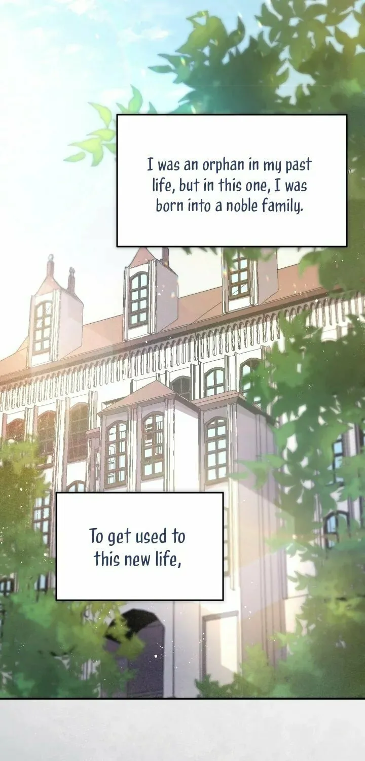The Great Mage of the Hero’s Party Reincarnates Chapter 2 page 17 - 