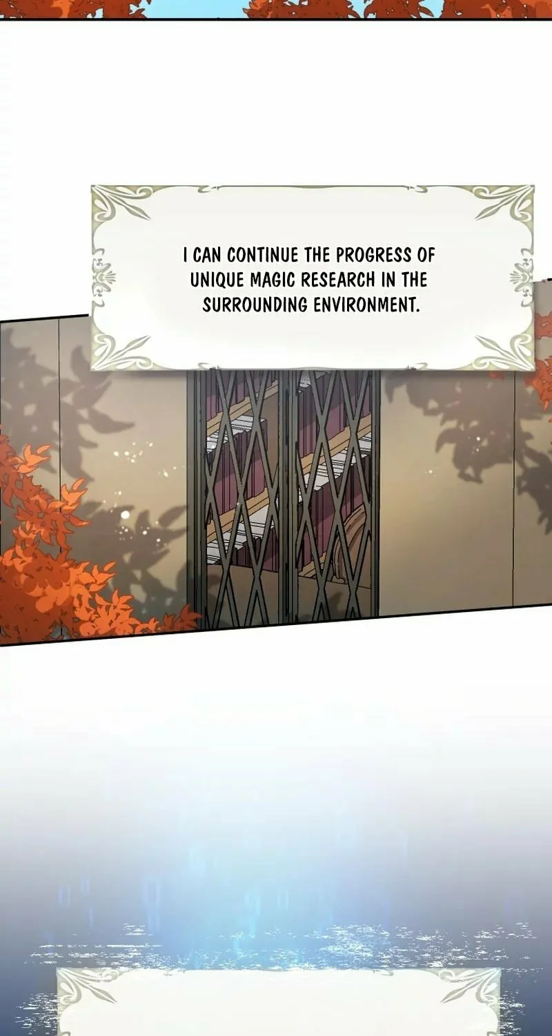 The Great Mage of the Hero’s Party Reincarnates Chapter 21 page 33 - 