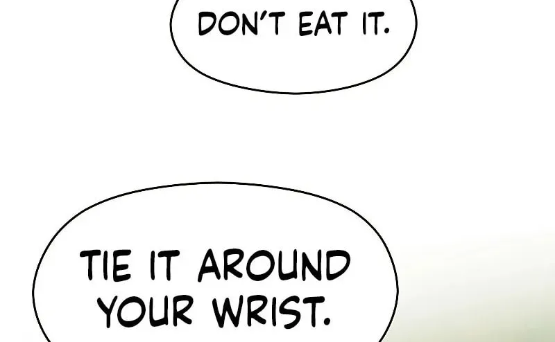 The Great Wizard Transcendent Chapter 44 page 47 - 