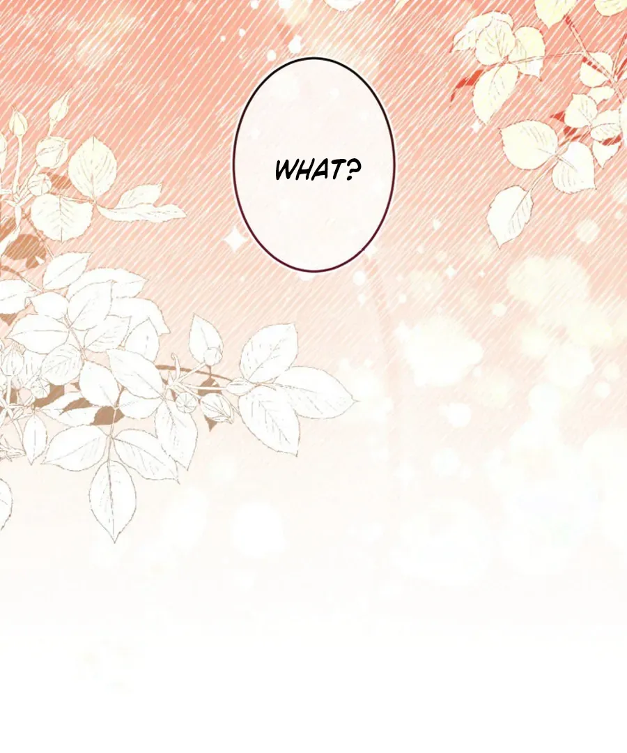 The Grim Reaper Duke’s Obsessive Contract Mother Chapter 23 page 12 - 