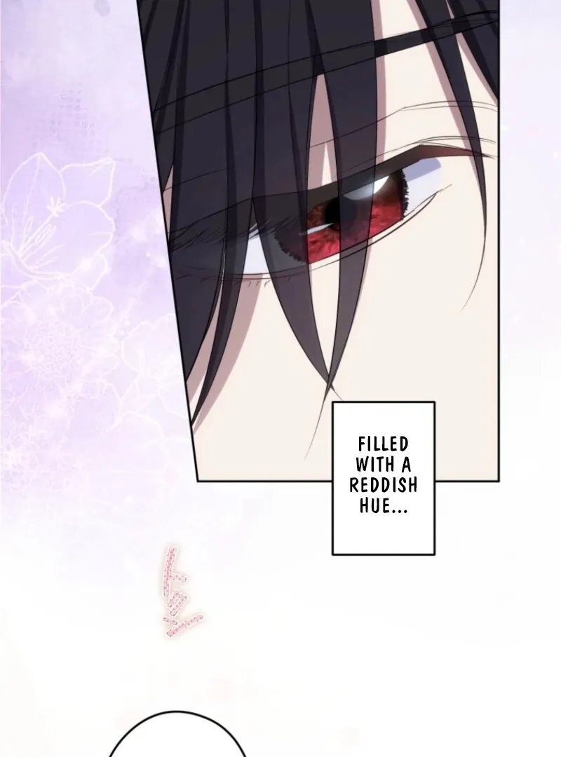 The Grim Reaper Duke’s Obsessive Contract Mother Chapter 25 page 64 - 